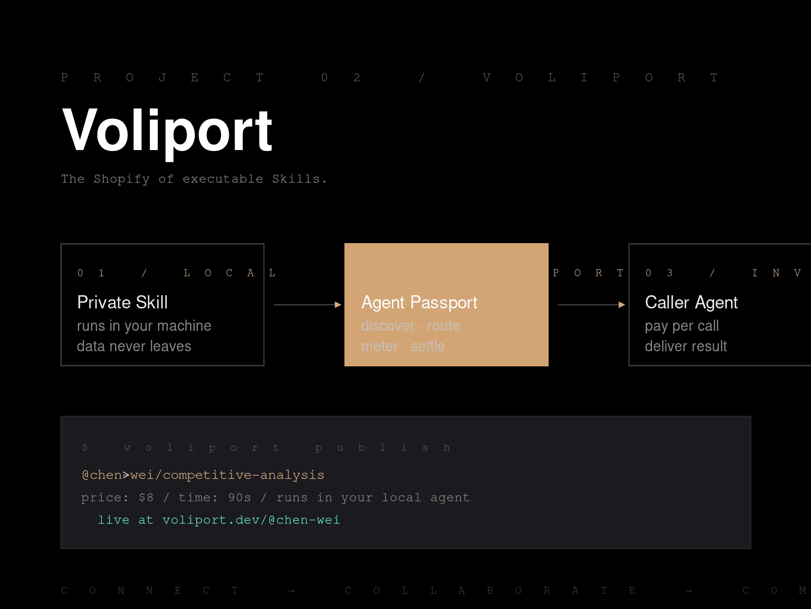 Voliport 视觉